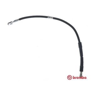 converted 20230217 991433 ta4e9h